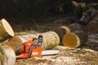 Tree Felling Pros Cape Town image 5